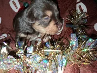 processed/aeed1a4e-62ff-43e6-8458-6c769fa60c1a/listing/a77055b2-4730-4f3a-b1c6-ef7b3f0cdf85/da98ca3a-7982-408e-ad0a-8aee1da84338