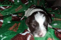 processed/aeed1a4e-62ff-43e6-8458-6c769fa60c1a/listing/a88a601b-21e2-4469-af94-348f38187f51/3cd137e2-5ec9-495a-802f-ebfc2c53e244