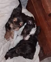 processed/aeed1a4e-62ff-43e6-8458-6c769fa60c1a/listing/a88a601b-21e2-4469-af94-348f38187f51/3f7a02ed-9bae-4f14-ae5c-ef7bc3d17c99