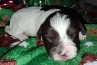 processed/aeed1a4e-62ff-43e6-8458-6c769fa60c1a/listing/a88a601b-21e2-4469-af94-348f38187f51/41665464-1ad3-4c3c-96a5-c110e113d188