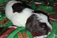 processed/aeed1a4e-62ff-43e6-8458-6c769fa60c1a/listing/a88a601b-21e2-4469-af94-348f38187f51/41937e32-12f2-4f28-9f82-000978ccd609