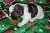 processed/aeed1a4e-62ff-43e6-8458-6c769fa60c1a/listing/a88a601b-21e2-4469-af94-348f38187f51/55e897fb-2f01-4b18-98cb-e63deb61d77c