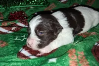 processed/aeed1a4e-62ff-43e6-8458-6c769fa60c1a/listing/a88a601b-21e2-4469-af94-348f38187f51/57ea6e18-e953-470a-91ac-17134861ee5c