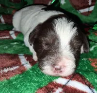 processed/aeed1a4e-62ff-43e6-8458-6c769fa60c1a/listing/a88a601b-21e2-4469-af94-348f38187f51/5c2840ed-0cc9-4961-8e4a-e73bf87a7ace