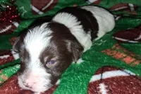 processed/aeed1a4e-62ff-43e6-8458-6c769fa60c1a/listing/a88a601b-21e2-4469-af94-348f38187f51/6c83ec66-c250-48f9-a937-649bde9f5e82