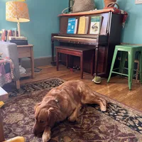 processed/aef076be-40ed-4a49-9fae-b12e329088a9/facility/221c542f-2eb4-4f64-bbfc-cb0dd3dc8311