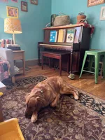 processed/aef076be-40ed-4a49-9fae-b12e329088a9/facility/221c542f-2eb4-4f64-bbfc-cb0dd3dc8311