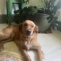 processed/aef076be-40ed-4a49-9fae-b12e329088a9/facility/35038ed1-7606-484c-b644-e441dd05cfb8