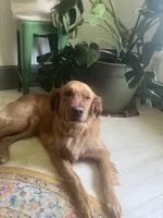 processed/aef076be-40ed-4a49-9fae-b12e329088a9/facility/35038ed1-7606-484c-b644-e441dd05cfb8