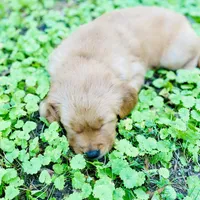 processed/aef076be-40ed-4a49-9fae-b12e329088a9/facility/758f4f4a-fe6d-4767-a038-0159dfb266fc