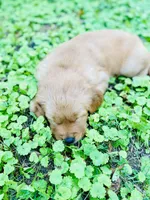 processed/aef076be-40ed-4a49-9fae-b12e329088a9/facility/758f4f4a-fe6d-4767-a038-0159dfb266fc