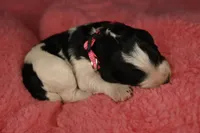 processed/aef3f700-6f0e-4eb6-966a-db20c6f7ae70/listing/01e368fc-4b32-4dc4-8d69-eb1e4449de04/2c16f184-78dd-418d-9e06-2e63f53d60be