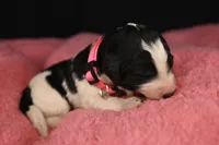 processed/aef3f700-6f0e-4eb6-966a-db20c6f7ae70/listing/01e368fc-4b32-4dc4-8d69-eb1e4449de04/71f23545-6140-4eb5-b39c-d1b8a6408b30