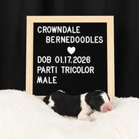 processed/aef3f700-6f0e-4eb6-966a-db20c6f7ae70/listing/1b2ef209-34e3-40d2-b932-5335e07c72a1/33a71214-49a6-4537-b238-1bd77885e36f