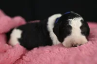 processed/aef3f700-6f0e-4eb6-966a-db20c6f7ae70/listing/1b2ef209-34e3-40d2-b932-5335e07c72a1/6156f519-dfbd-4c6e-b8c4-7670696427b6