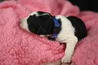 processed/aef3f700-6f0e-4eb6-966a-db20c6f7ae70/listing/1b2ef209-34e3-40d2-b932-5335e07c72a1/8062f893-9996-40ca-86d7-7fcd63809357