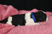 processed/aef3f700-6f0e-4eb6-966a-db20c6f7ae70/listing/1b2ef209-34e3-40d2-b932-5335e07c72a1/c5050244-fe40-4360-984d-186104f848e6