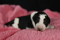 processed/aef3f700-6f0e-4eb6-966a-db20c6f7ae70/listing/1b2ef209-34e3-40d2-b932-5335e07c72a1/e8b61e12-b729-4e9d-b020-d6151038031b