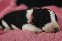 processed/aef3f700-6f0e-4eb6-966a-db20c6f7ae70/listing/28f66a41-cb95-4773-87ff-3bd924ed7713/dcd7d142-dd5e-440b-9f1b-3c5f3450942c