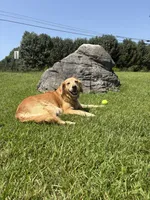 Facility photo