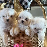 processed/af0c3ca4-5066-49f3-b903-d1409c9b9424/facility/30858b26-5c02-4179-8663-29fd0850152b