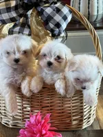 processed/af0c3ca4-5066-49f3-b903-d1409c9b9424/facility/30858b26-5c02-4179-8663-29fd0850152b