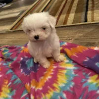 processed/af0c3ca4-5066-49f3-b903-d1409c9b9424/facility/3f951af8-f942-4d3a-a635-cff7a55f68a0