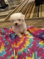 processed/af0c3ca4-5066-49f3-b903-d1409c9b9424/facility/3f951af8-f942-4d3a-a635-cff7a55f68a0