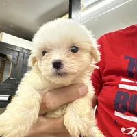 processed/af0c3ca4-5066-49f3-b903-d1409c9b9424/facility/4e0efee3-9966-4321-be7c-5ba8da4db471