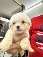 processed/af0c3ca4-5066-49f3-b903-d1409c9b9424/facility/4e0efee3-9966-4321-be7c-5ba8da4db471