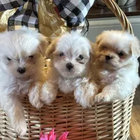 processed/af0c3ca4-5066-49f3-b903-d1409c9b9424/facility/4f397fd5-2629-4d16-88b3-a6d163fb244f