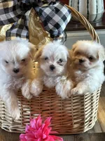 processed/af0c3ca4-5066-49f3-b903-d1409c9b9424/facility/4f397fd5-2629-4d16-88b3-a6d163fb244f