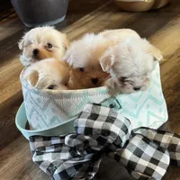 processed/af0c3ca4-5066-49f3-b903-d1409c9b9424/facility/69a076df-d0fc-4485-b78e-af01e02b976a