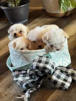 processed/af0c3ca4-5066-49f3-b903-d1409c9b9424/facility/69a076df-d0fc-4485-b78e-af01e02b976a