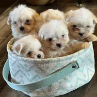 processed/af0c3ca4-5066-49f3-b903-d1409c9b9424/facility/9c0c7829-9f08-4375-9e40-82f488b95af7