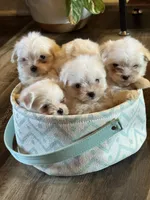 processed/af0c3ca4-5066-49f3-b903-d1409c9b9424/facility/9c0c7829-9f08-4375-9e40-82f488b95af7