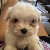 processed/af0c3ca4-5066-49f3-b903-d1409c9b9424/facility/a96fd914-5b5b-4f28-816a-efc94812a625