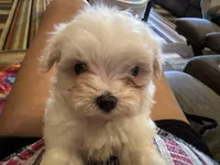 processed/af0c3ca4-5066-49f3-b903-d1409c9b9424/facility/a96fd914-5b5b-4f28-816a-efc94812a625