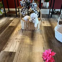 processed/af0c3ca4-5066-49f3-b903-d1409c9b9424/facility/adef7e4e-2da4-4cf0-8d02-cda2518ba669