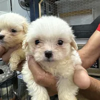 processed/af0c3ca4-5066-49f3-b903-d1409c9b9424/facility/ea22cd15-4df4-4801-becd-5fc97d441bed