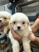 processed/af0c3ca4-5066-49f3-b903-d1409c9b9424/facility/ea22cd15-4df4-4801-becd-5fc97d441bed