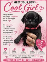 Pink, a female Pug for sale in Ludowici, GA – 1 of 2