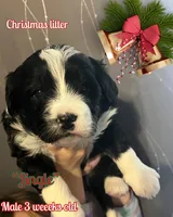 processed/af153e08-480f-4965-aba7-79a1a7495e1c/listing/8be23be7-4433-4c51-811a-0fd61c835df2/269755b1-9fa4-4f45-86e3-cc43d3acc15d