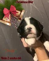 processed/af153e08-480f-4965-aba7-79a1a7495e1c/listing/8be23be7-4433-4c51-811a-0fd61c835df2/ee5053cb-6663-4e81-a3b2-150a4a74c8f2