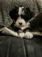 processed/af153e08-480f-4965-aba7-79a1a7495e1c/listing/d2cad763-4b56-496f-81c5-4a3580b45a81/7c89e95c-1822-4835-9e46-a883f6e17573