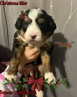 processed/af153e08-480f-4965-aba7-79a1a7495e1c/listing/d2cad763-4b56-496f-81c5-4a3580b45a81/95918452-e4f1-4aec-9e50-71cfbaf10d9d