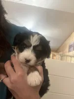 processed/af153e08-480f-4965-aba7-79a1a7495e1c/listing/d2cad763-4b56-496f-81c5-4a3580b45a81/bc715be5-c90c-4333-b820-1e51018ce2a3