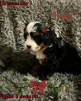 processed/af153e08-480f-4965-aba7-79a1a7495e1c/listing/d2cad763-4b56-496f-81c5-4a3580b45a81/d75091c6-cfa6-4583-bd07-ca8906f865bf