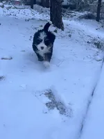 processed/af153e08-480f-4965-aba7-79a1a7495e1c/listing/d2cad763-4b56-496f-81c5-4a3580b45a81/f5f9443a-a52b-433a-81c1-9dc8aa061a65