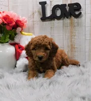 processed/af1c43b5-18c7-4792-ab92-bf1d6a1b09fa/facility/b86166cc-7ed3-4d2f-8016-d7e009b4325f